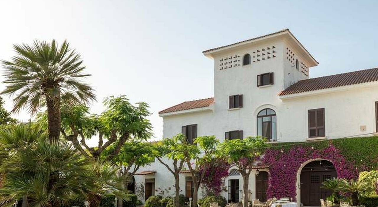 Diciasettenne ucciso in masseria, il sospettato: «Sono svenuto, non ricordo nulla». La lite, i carabinieri in ritardo, l Diciasettenne ucciso in masseria, il sospettato: «Sono svenuto, non ricordo nulla». La lite, i carabinieri in ritardo, l