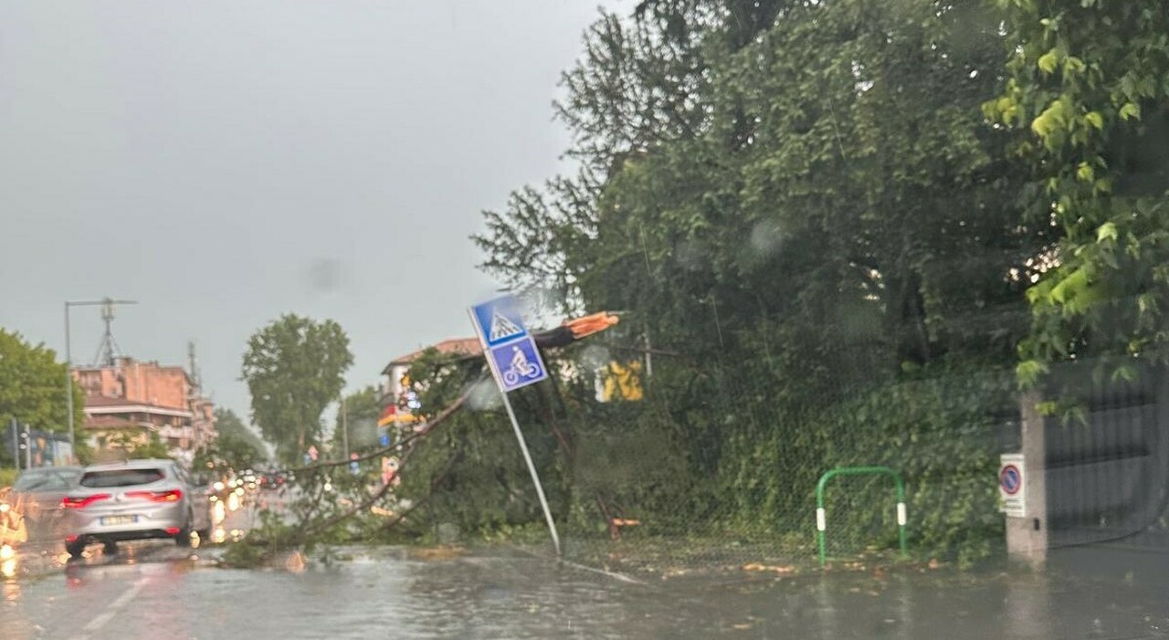 nubifragi e bombe d acqua strade allagate e alberi caduti disagi ai treni