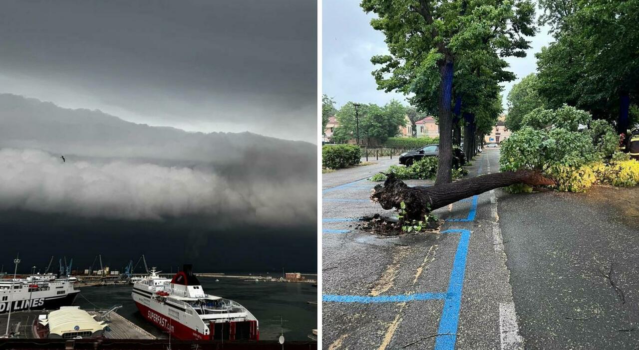 forti raffiche di vento e temporali le marche nella morsa del maltempo uscite solo se necessario ecco cosa succede foto