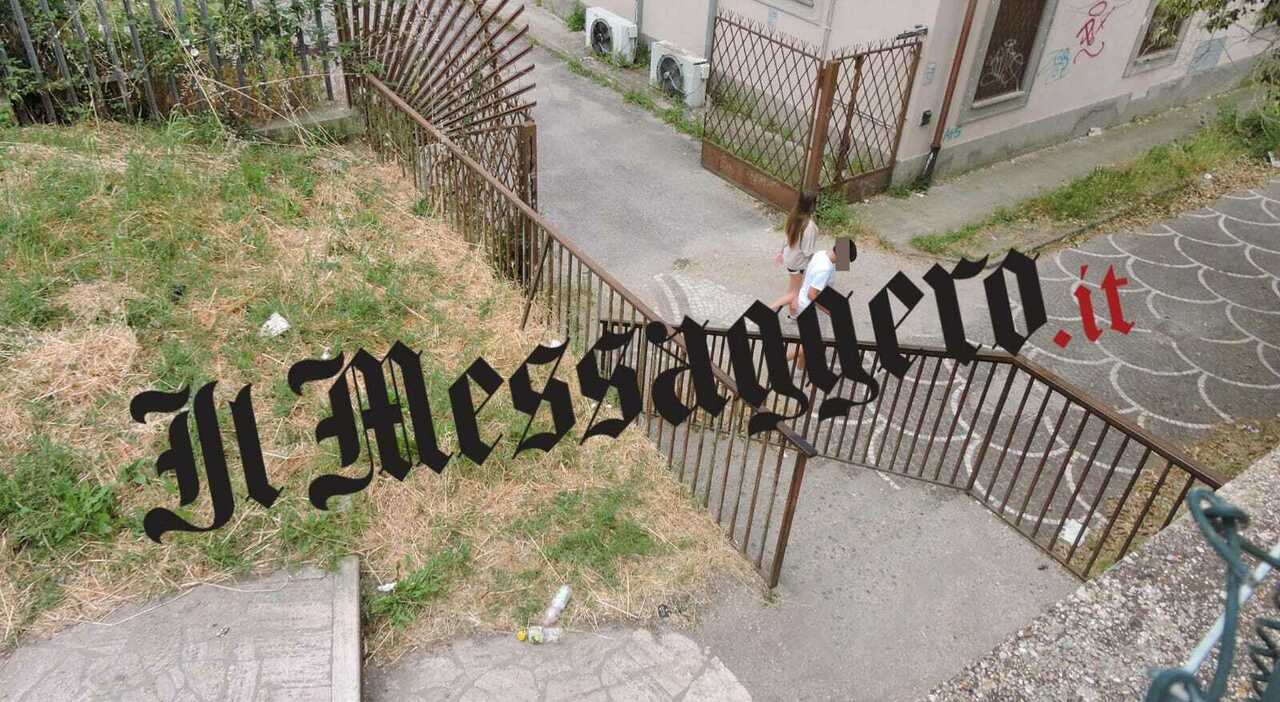 Un tentato stupro nei giardini fuori Roma: il racconto drammatico di una 18enne salvata da una coppia Un tentato stupro nei giardini fuori Roma: il racconto drammatico di una 18enne salvata da una coppia