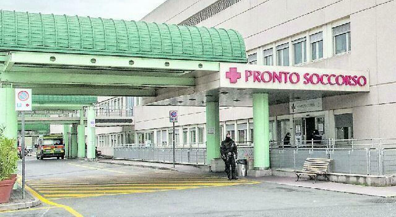 Un 23enne aggredisce una dottoressa in pronto soccorso: l’intervento inaspettato dei pazienti Un 23enne aggredisce una dottoressa in pronto soccorso: l’intervento inaspettato dei pazienti