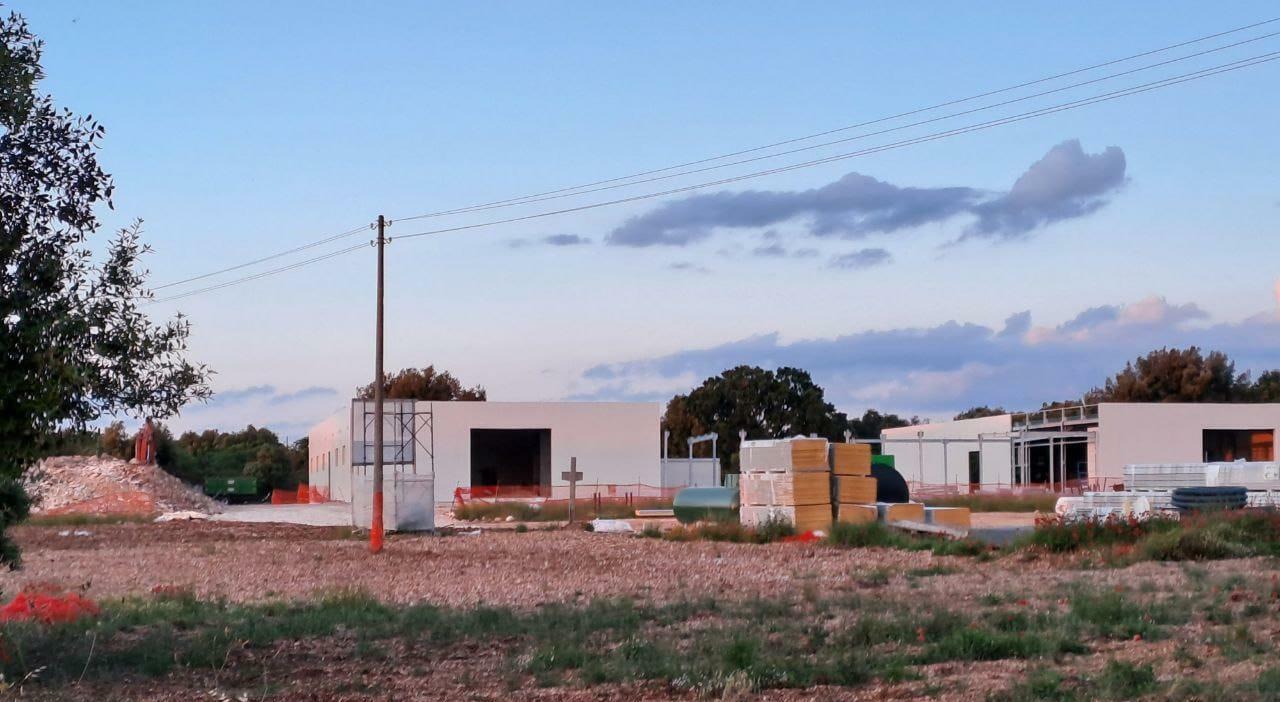 Erba di casa Tamer: in Valle d?Itria si investe su camomilla e origano Erba di casa Tamer: in Valle d?Itria si investe su camomilla e origano