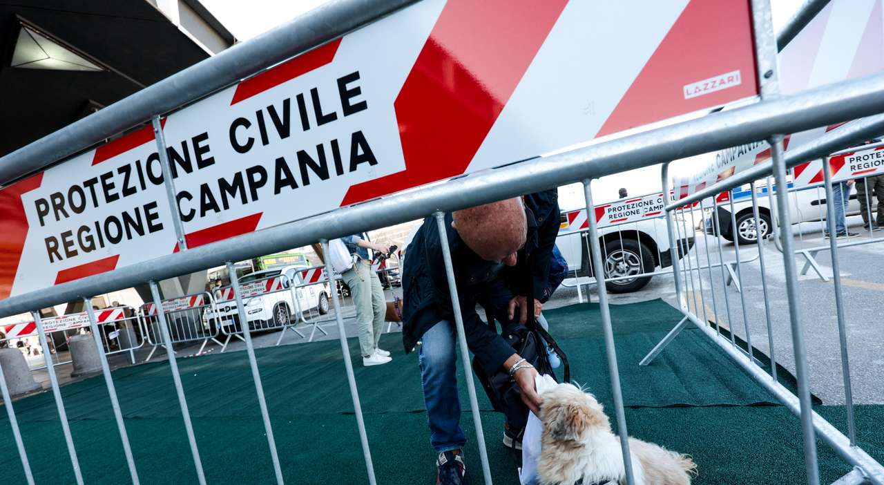 Terremoto Campi Flegrei, nessuna criticità segnalata dopo la scossa: lunedì controlli nelle scuole sedi di esami Terremoto Campi Flegrei, nessuna criticità segnalata dopo la scossa: lunedì controlli nelle scuole sedi di esami