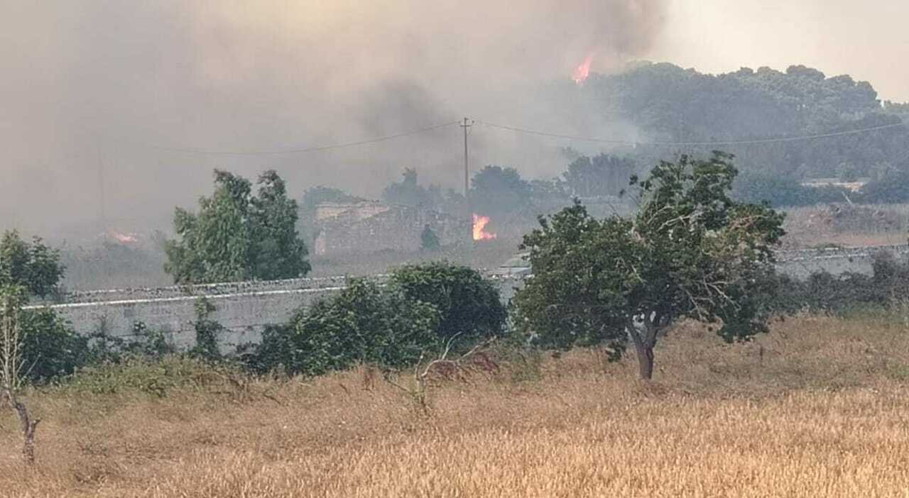 Salento, incendio sulla costa: