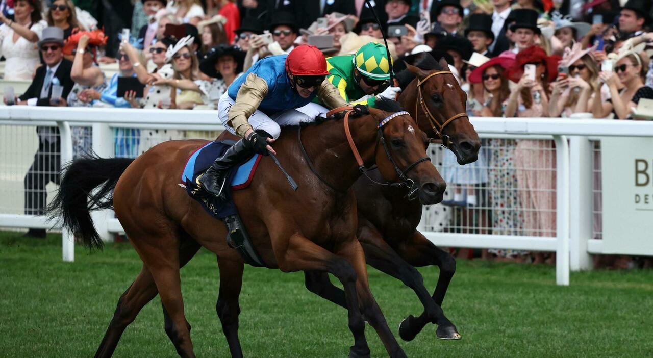 Cravatta In Seta Jacquard Franco Bassi | Arbiter Parma - Foto 7