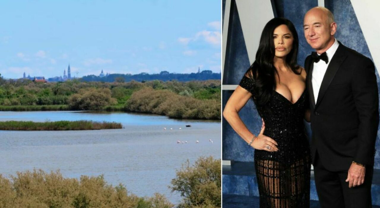 bezos tre donazioni per venezia la cifra importante per promuovere le ricerche sulla laguna chi sono i beneficiari