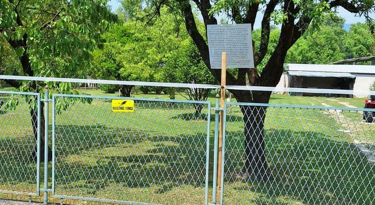 Ladri in casa quattro volte, installa una rete elettrificata: «Sono stufo» Ladri in casa quattro volte, installa una rete elettrificata: «Sono stufo»