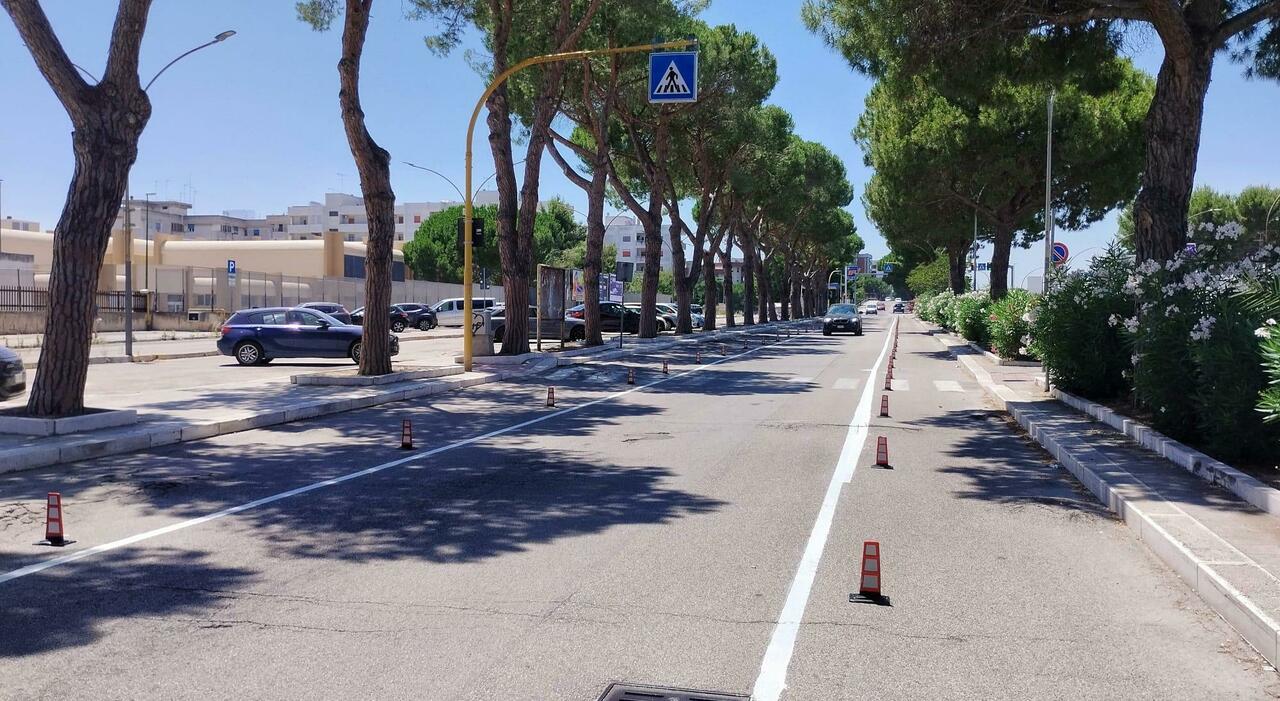 Radici oltre le strisce bianche: occhio all?asfalto sconnesso Radici oltre le strisce bianche: occhio all?asfalto sconnesso