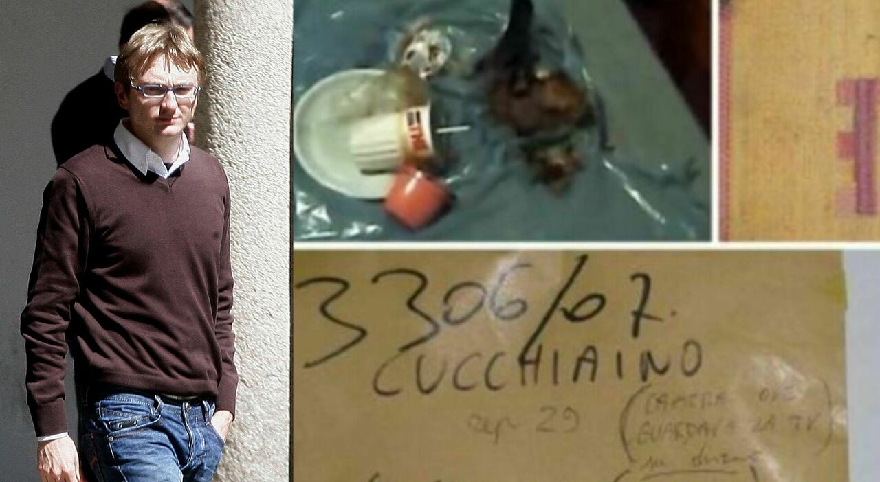 Garlasco, «il Dna sulla spazzatura è di Alberto Stasi e Chiara Poggi»: i risultati dell Garlasco, «il Dna sulla spazzatura è di Alberto Stasi e Chiara Poggi»: i risultati dell