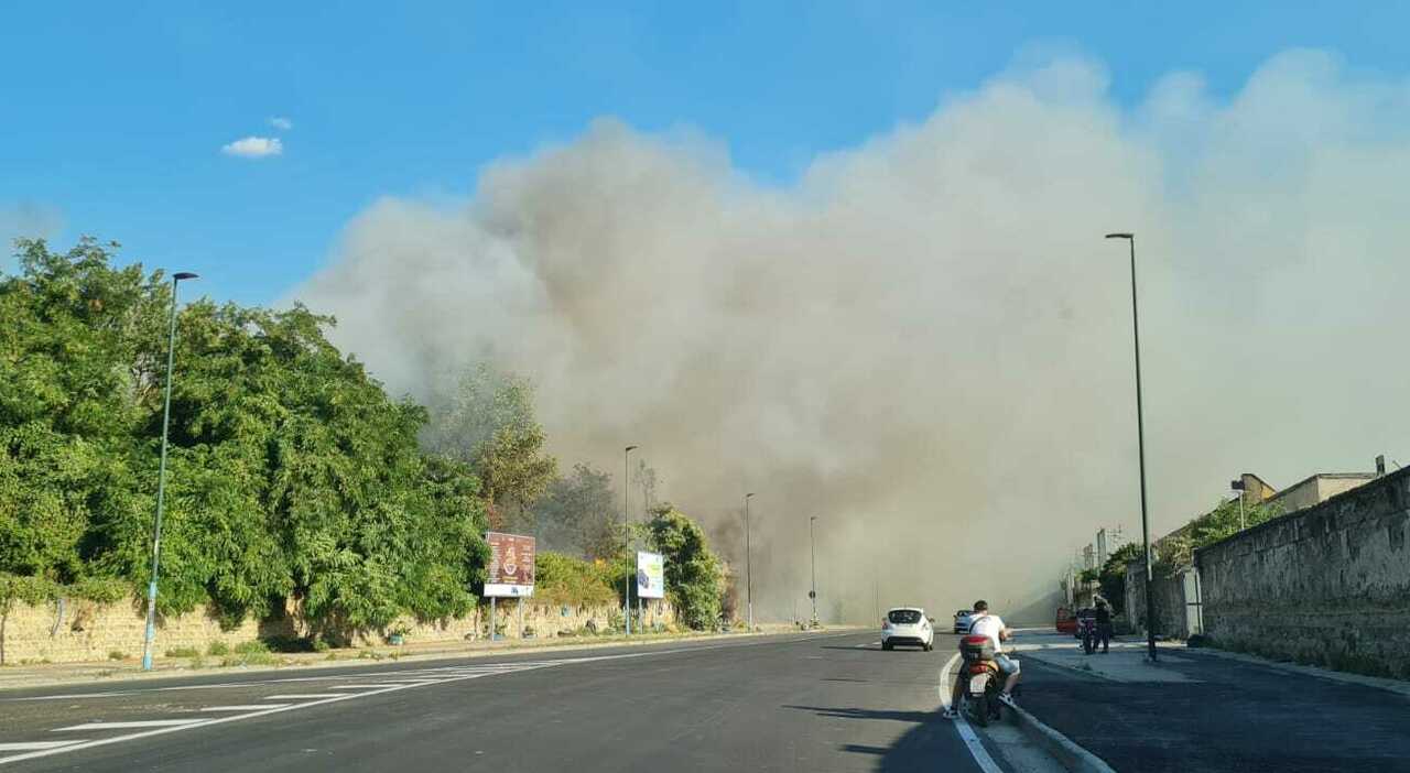 incendio al centro direzionale fiamme vicino mercato ortofrutticolo nube nera avvolge la zona