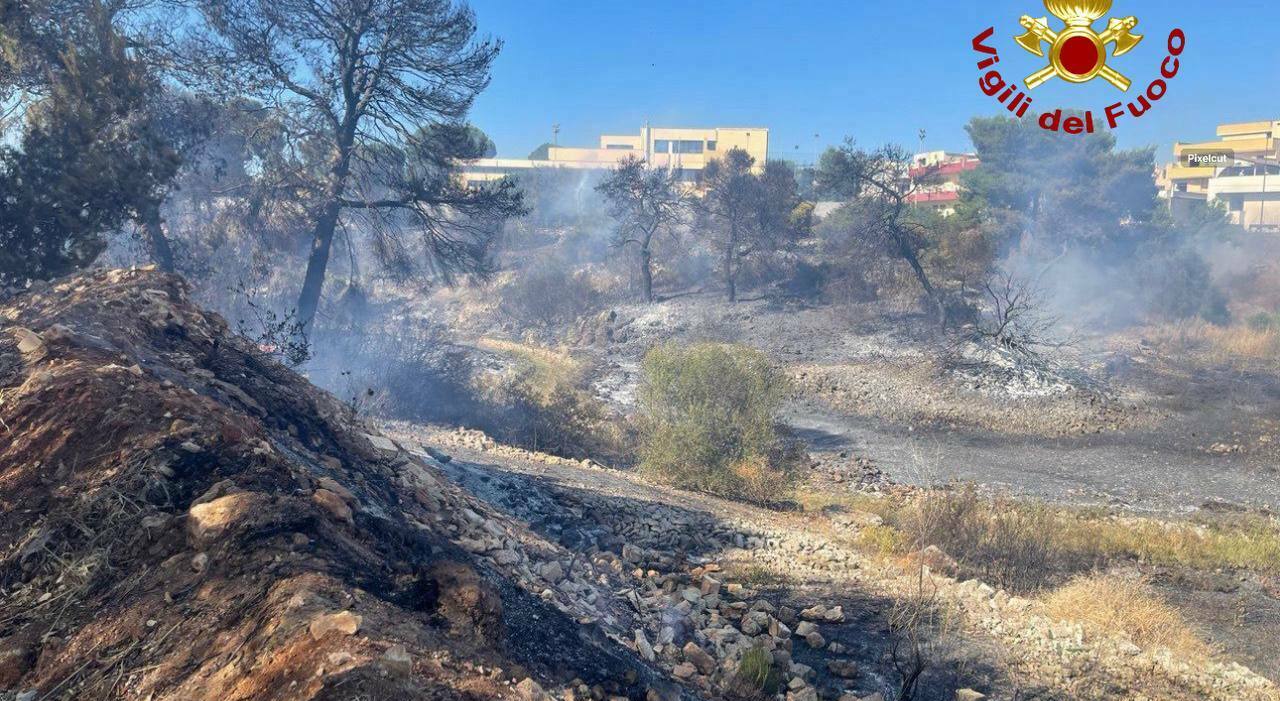 Ancora incendi nel Salento, fiamme a due passi dalle case e paura tra i residenti. Dai Vigili del Fuoco 83 interventi in 24 ore Ancora incendi nel Salento, fiamme a due passi dalle case e paura tra i residenti. Dai Vigili del Fuoco 83 interventi in 24 ore