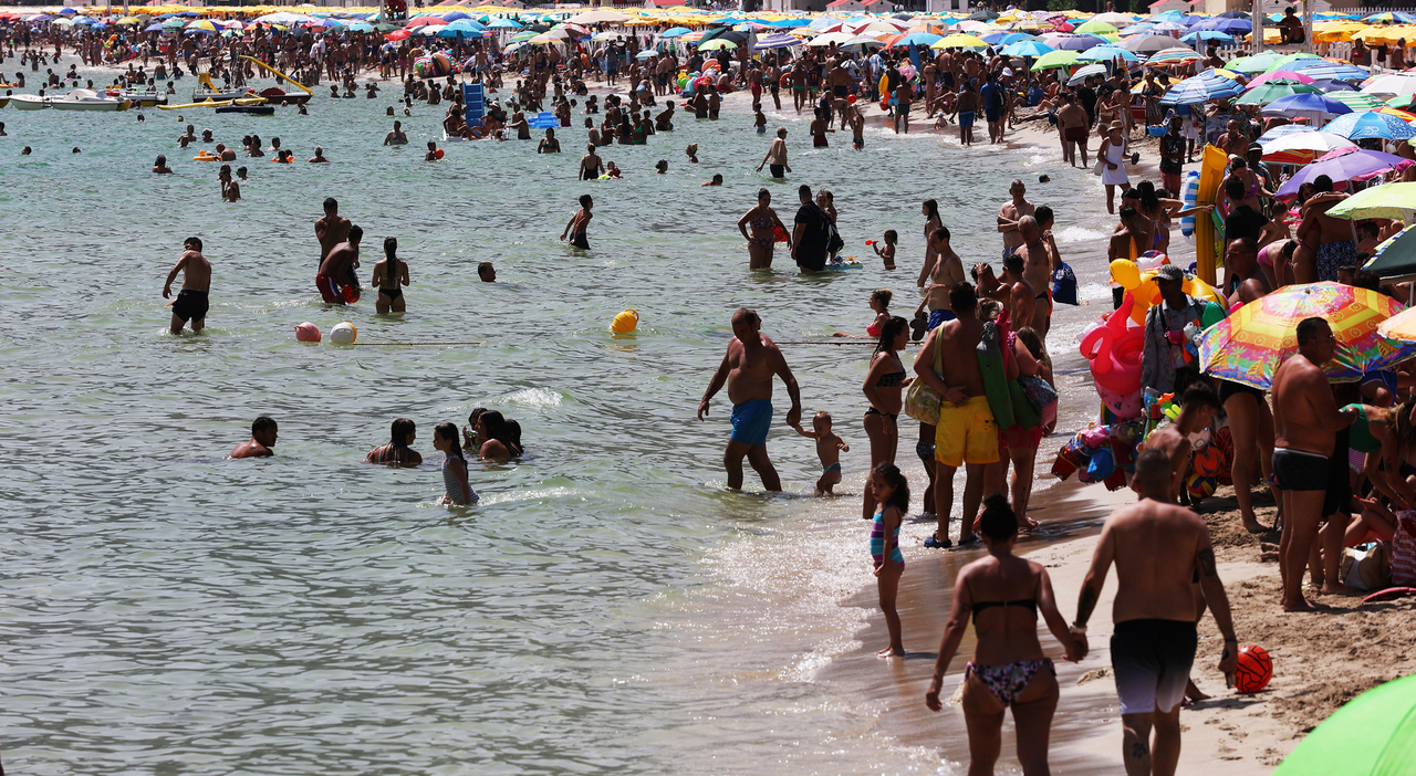 https://statics.cedscdn.it/photos/MED_HIGH/2025/06/30/8928789_30121019_inflazione_stangata_vacanze_caffe_acqua_uova_prezzi_caro_vita_oggi_30_6_2025.jpg