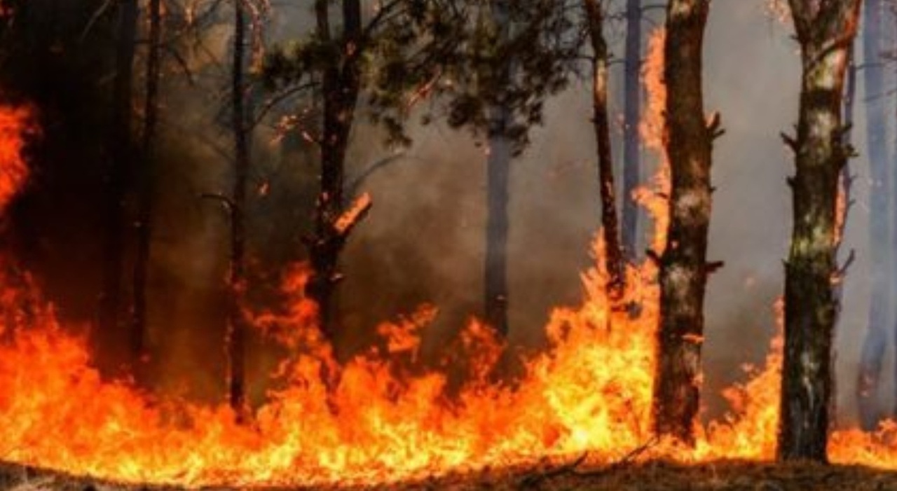 https://statics.cedscdn.it/photos/MED_HIGH/2025/06/30/8929229_30191907_morto_fiamme_bergamo.jpg