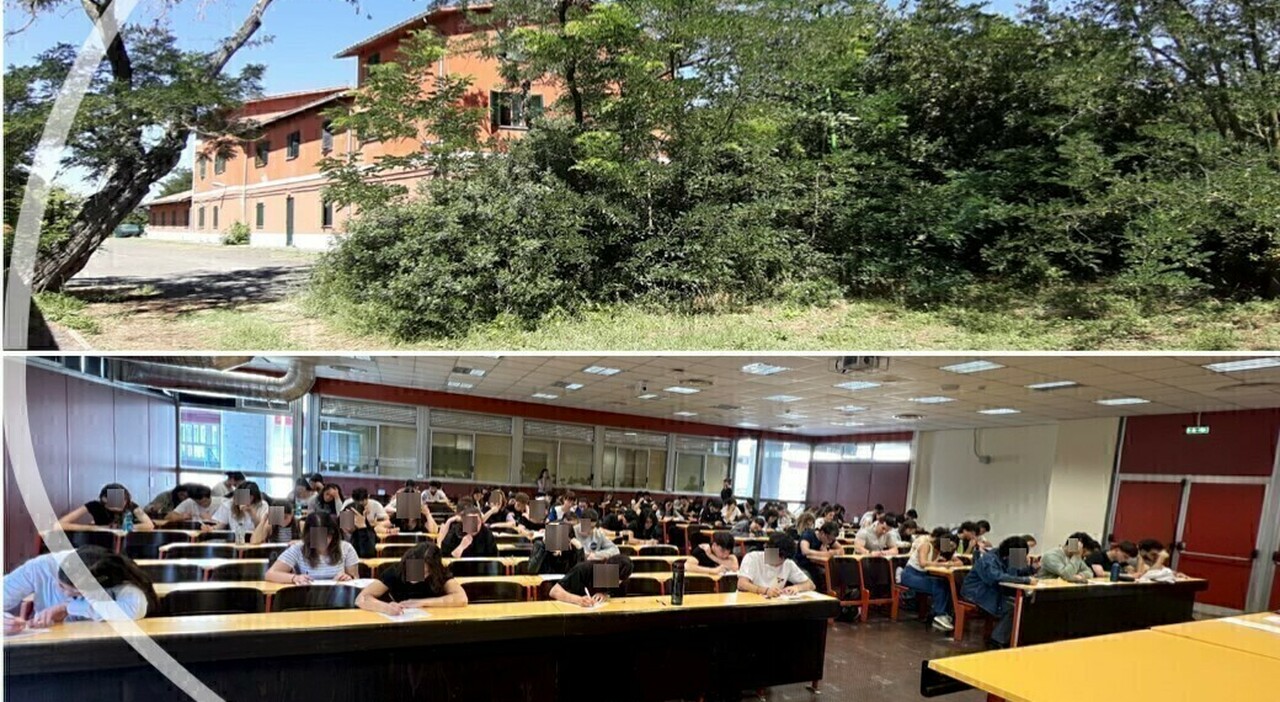 Scienza, ambiente e salute: il futuro si costruisce al Dipartimento di Biologia di Roma Tor Vergata