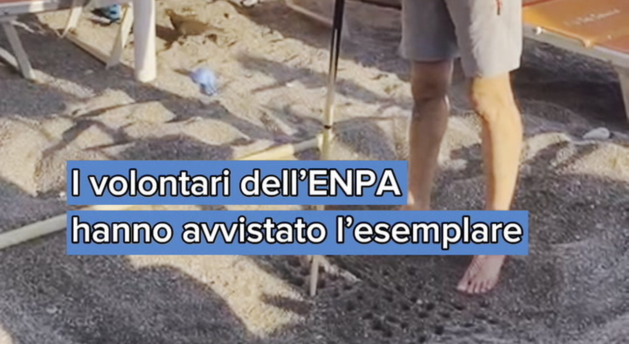 https://statics.cedscdn.it/photos/MED_HIGH/2025/07/02/8933320_poster.jpg