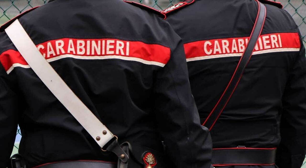 Franka Ludwig trovata morta nel bosco, dal figlio di sei mesi al compagno e le liti coi vicini: chi era la 52enne e le ultime ore di vita Franka Ludwig trovata morta nel bosco, dal figlio di sei mesi al compagno e le liti coi vicini: chi era la 52enne e le ultime ore di vita