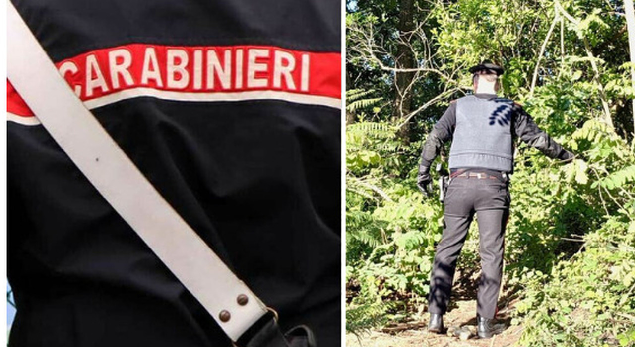Franka Ludwig trovata morta nel bosco, ascoltate le amiche e il compagno: le tre piste su cui si indaga per ...