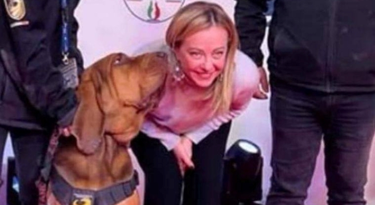 https://statics.cedscdn.it/photos/MED_HIGH/2025/07/05/8939123_04195149_bruno_giorgia.jpg