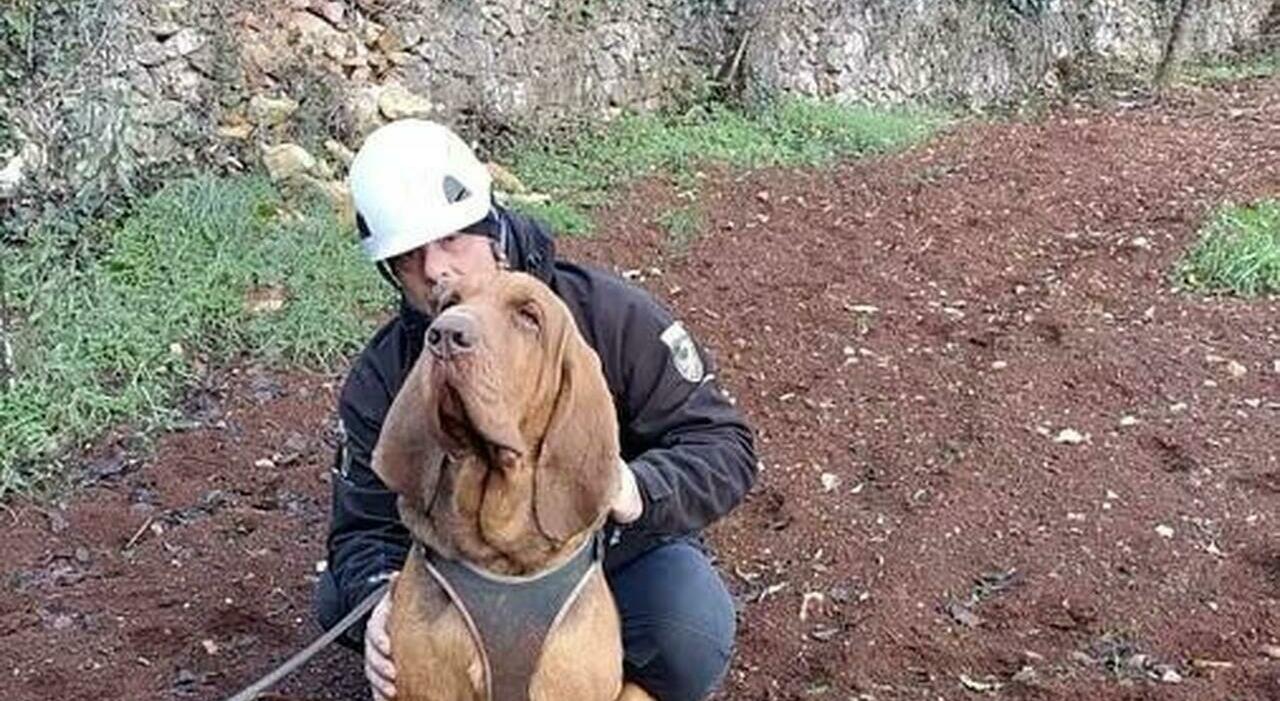 Bruno, il giallo del cane eroe ucciso da un boccone con dei chiodi. Il padrone: «Ero io il bersaglio» Bruno, il giallo del cane eroe ucciso da un boccone con dei chiodi. Il padrone: «Ero io il bersaglio»