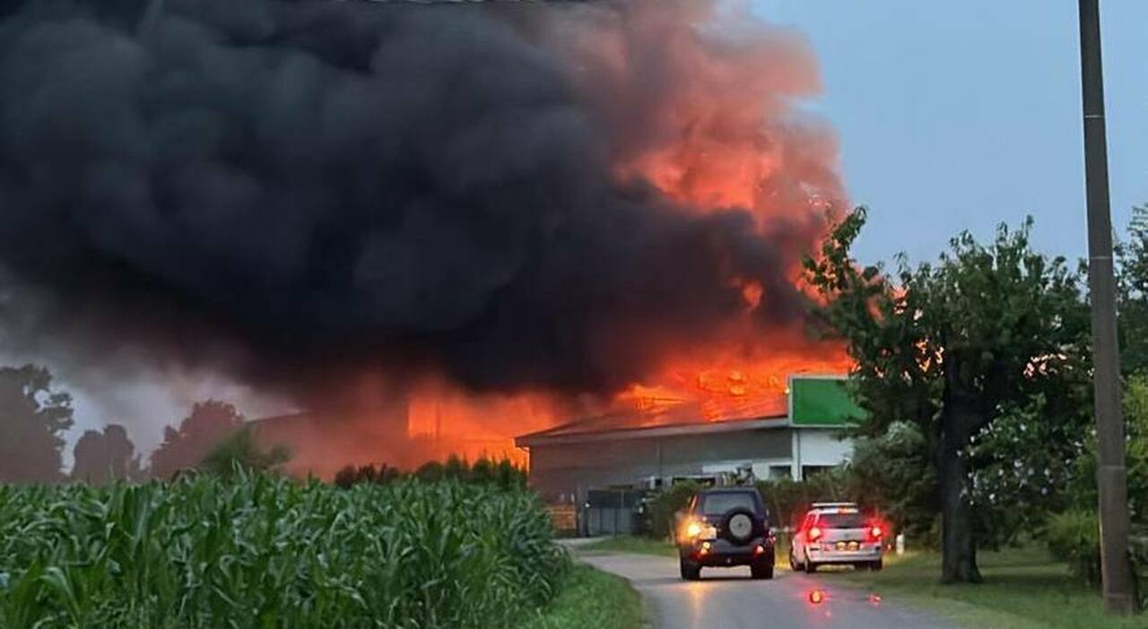 Incendio alla Tofana srl, in fiamme l Incendio alla Tofana srl, in fiamme l