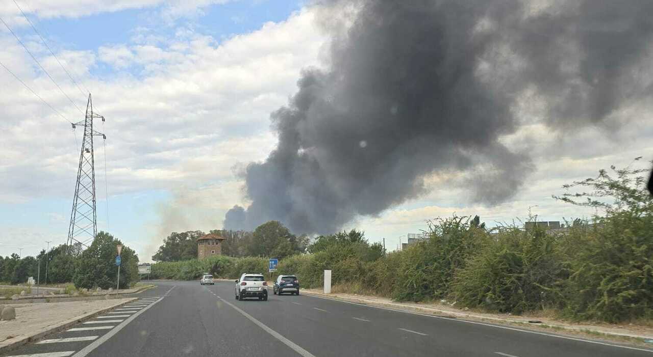 Incendio a Fiumicino, rogo nei pressi di Parco Leonardo: fumo nero visibile da chilometri di distanza Incendio a Fiumicino, rogo nei pressi di Parco Leonardo: fumo nero visibile da chilometri di distanza