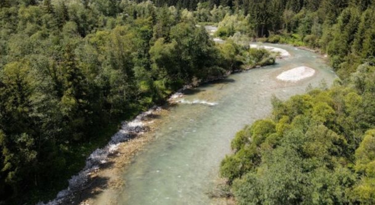 https://statics.cedscdn.it/photos/MED_HIGH/2025/07/08/8944781_08171548_violenta_4_donne_fiume_adige_arrestato_verona_oggi_8_7_2025.jpg