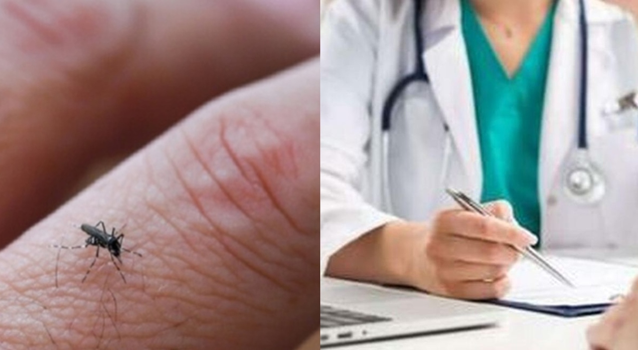 Dengue e Chikungunya, Italia a rischio: la mappa dei contagi. ?«I medici di famiglia prestino massima attenzione ai sintomi» Dengue e Chikungunya, Italia a rischio: la mappa dei contagi. ?«I medici di famiglia prestino massima attenzione ai sintomi»