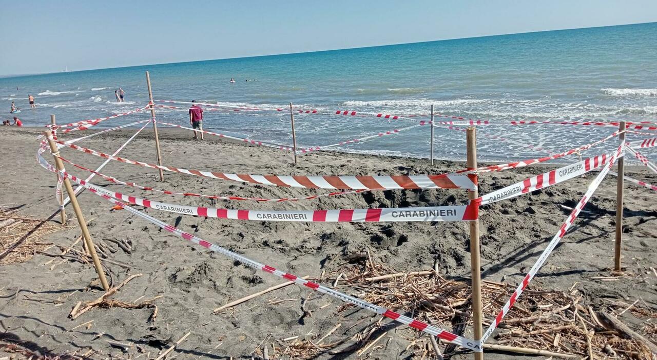 Riccardo Boni, sepolto vivo sulla spiaggia di Montalto di Castro in una buca scavata da lui. «Voleva fare felici i fratelli» Riccardo Boni, sepolto vivo sulla spiaggia di Montalto di Castro in una buca scavata da lui. «Voleva fare felici i fratelli»