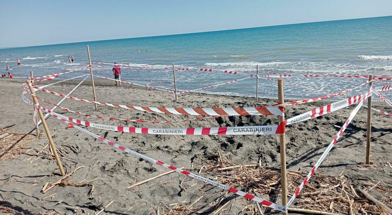 Riccardo Boni morto soffocato dalla sabbia nella buca, il papà: «Perché non ha gridato? Ero a due metri, non ho sentito nulla» Riccardo Boni morto soffocato dalla sabbia nella buca, il papà: «Perché non ha gridato? Ero a due metri, non ho sentito nulla»
