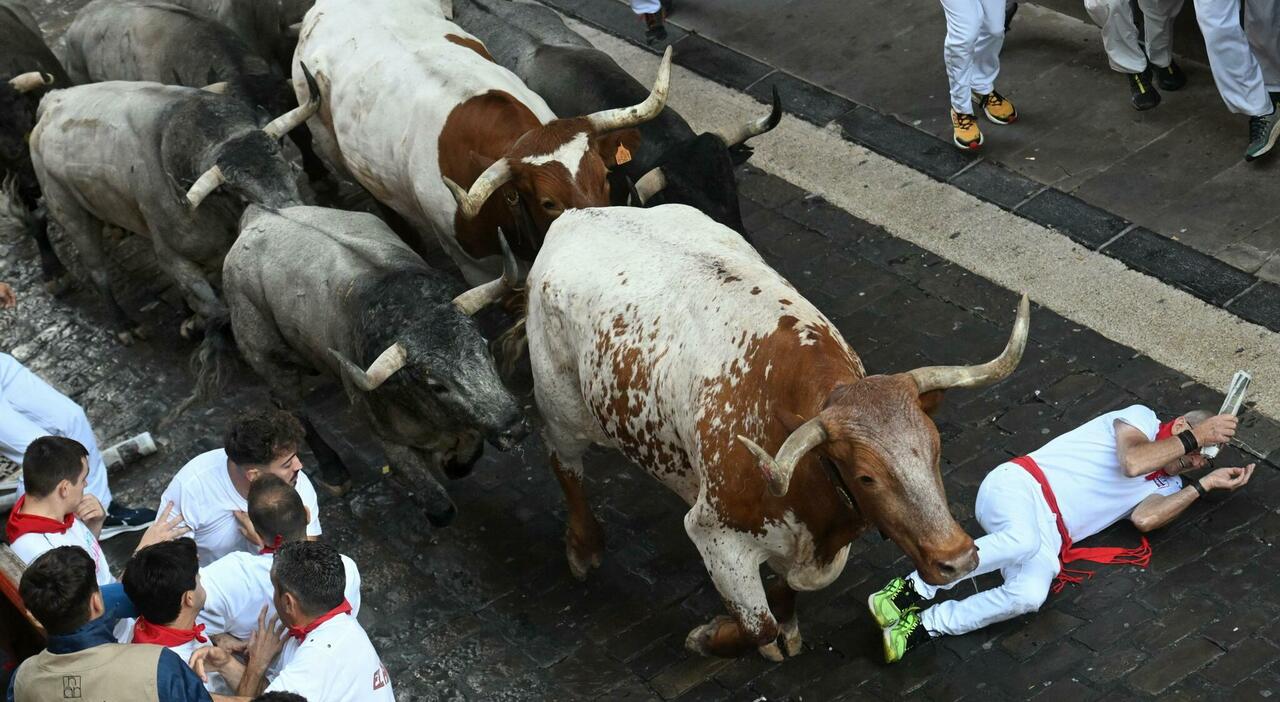 https://statics.cedscdn.it/photos/MED_HIGH/2025/07/12/8952371_12093233_encierro_corse_tori_pamplona_carica_corridori_incornati_contusi_oggi_12_7_2025.jpg
