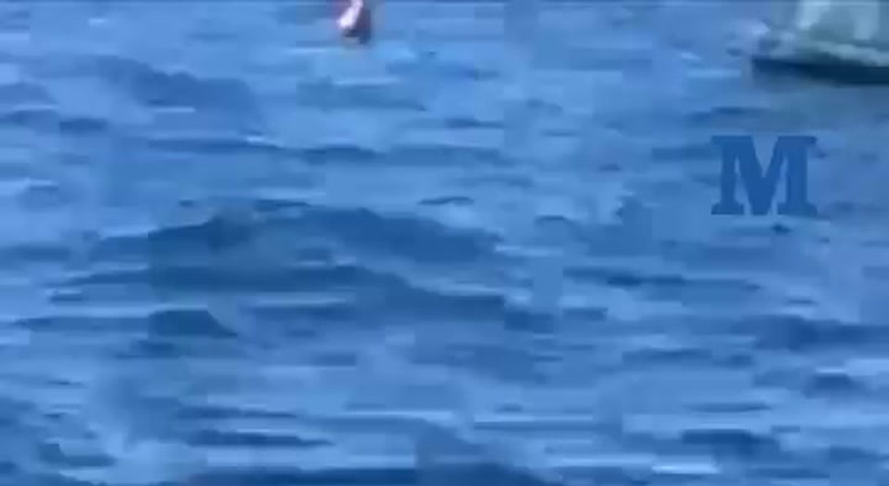 https://statics.cedscdn.it/photos/MED_HIGH/2025/07/12/8952805_poster.jpg