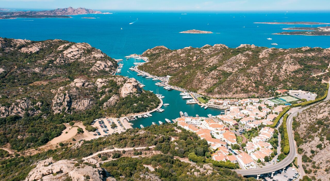 Poltu Quatu, il nuovo angolo del lusso in Sardegna scelto anche da Muccino: il resort, la spiaggia chic e il ristorante solo via mare Poltu Quatu, il nuovo angolo del lusso in Sardegna scelto anche da Muccino: il resort, la spiaggia chic e il ristorante solo via mare