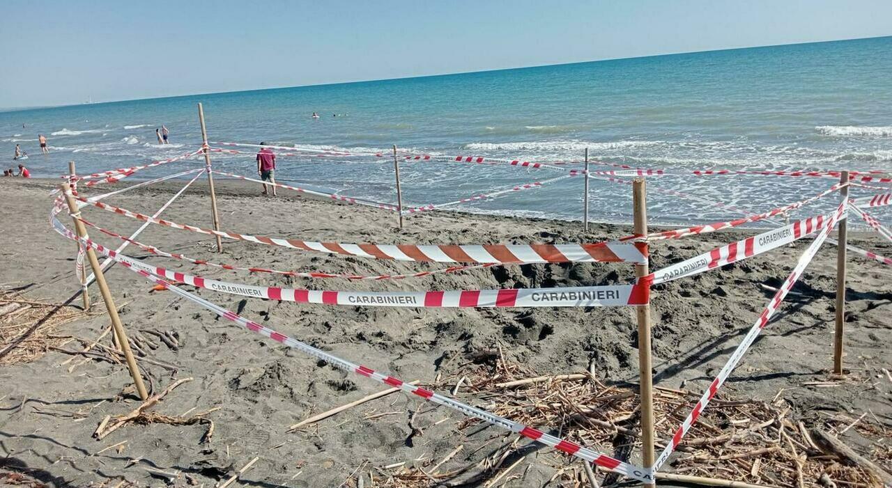 https://statics.cedscdn.it/photos/MED_HIGH/2025/07/14/8956278_14183923_riccardo_boni_morto_spiaggia_montalto.jpg