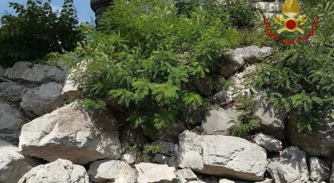 https://statics.cedscdn.it/photos/MED_HIGH/2025/07/16/8960169_16093220_piave.jpg