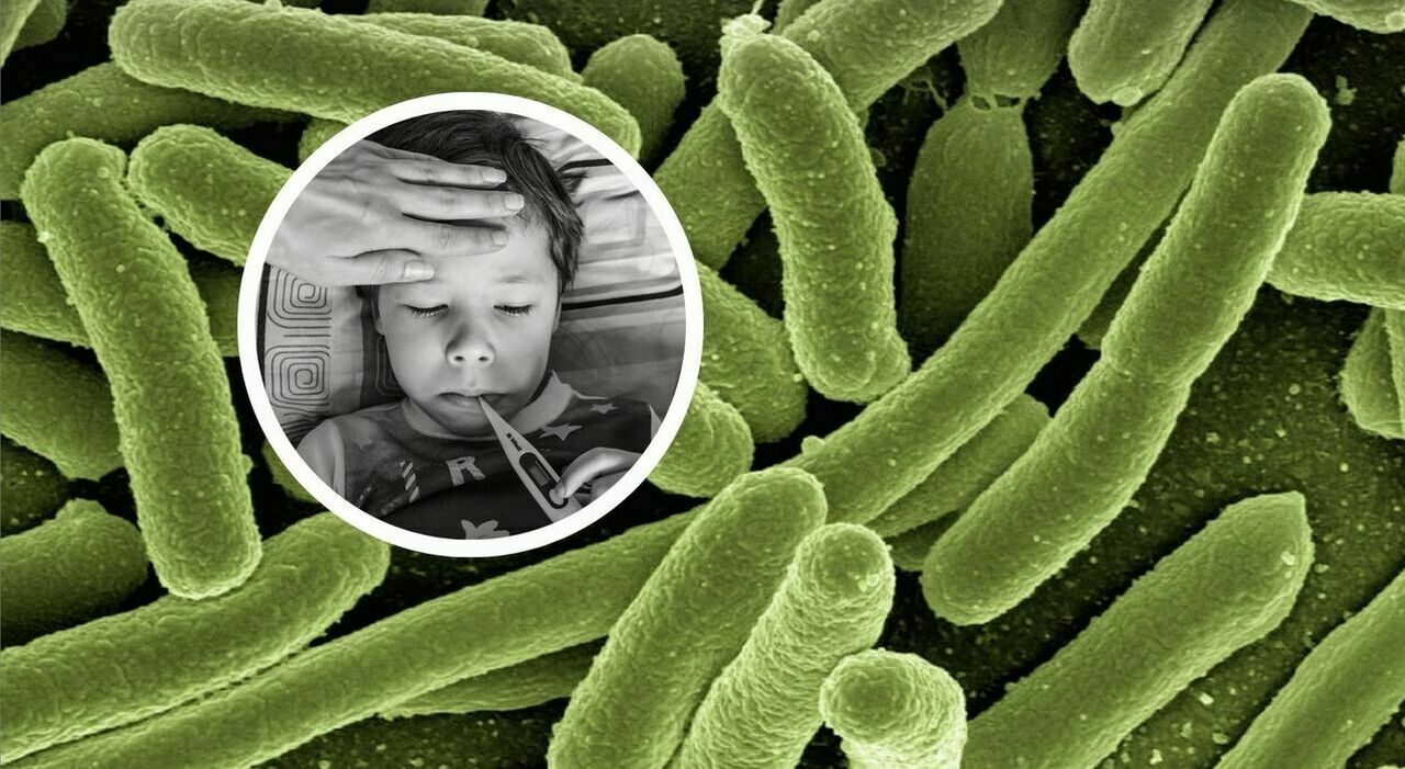 https://statics.cedscdn.it/photos/MED_HIGH/2025/07/16/8960213_16155634_virus_vacanza_bambini_quali_sono_patologia_consigli_sintomi.jpg