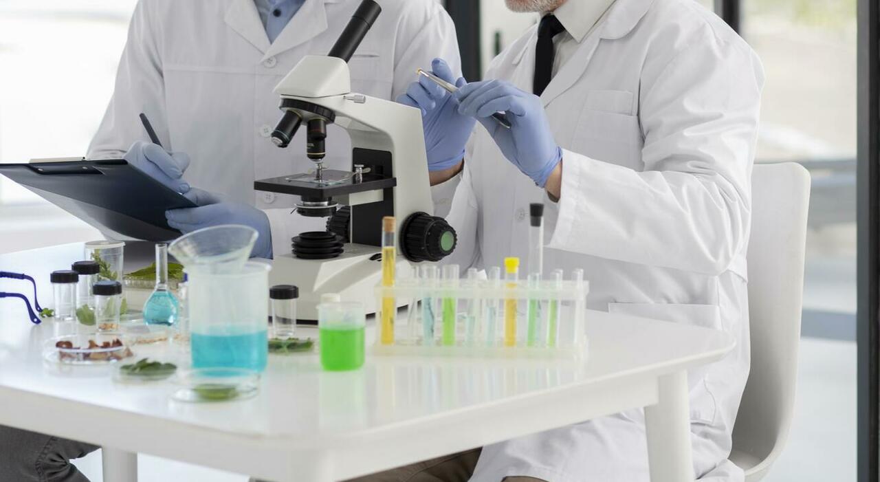 https://statics.cedscdn.it/photos/MED_HIGH/2025/07/16/8960224_16161006_scienziati_di_tiro_medio_che_lavorano_insieme.jpg