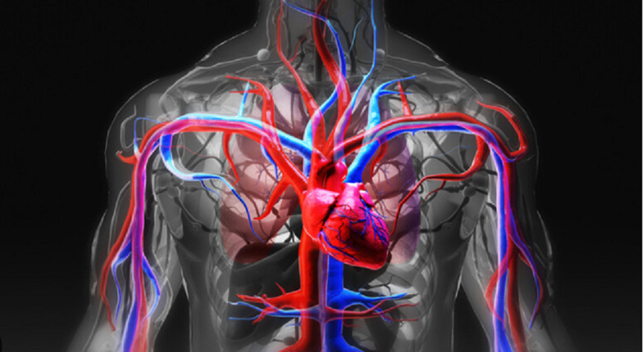 Una mutazione genetica legata alla «morte improvvisa»: la scoperta grazie a una giovane colpita da arresto cardiaco Una mutazione genetica legata alla «morte improvvisa»: la scoperta grazie a una giovane colpita da arresto cardiaco