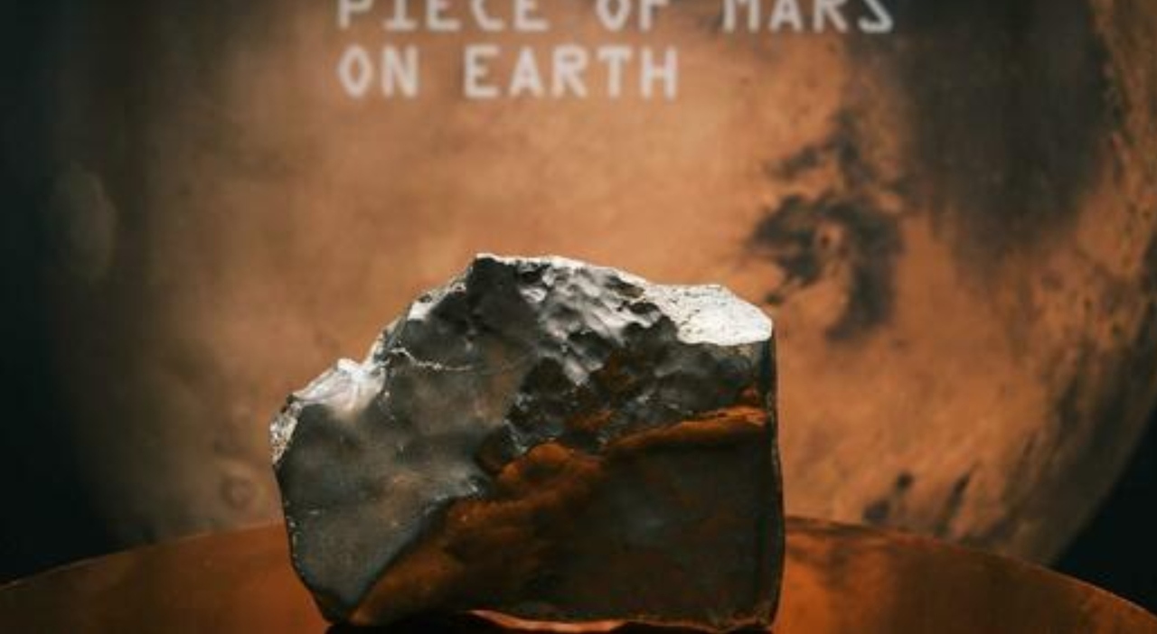 https://statics.cedscdn.it/photos/MED_HIGH/2025/07/17/8962394_17180315_meteorite_marziano_nwa_16788_venduto_asta_new_york_oggi_17_7_2025.jpg