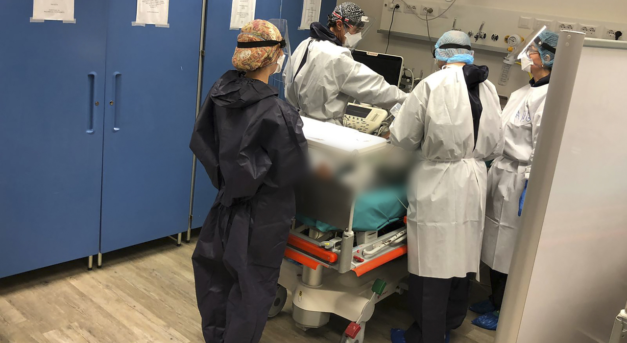 alessandro morto il 17enne padovano caduto da una palazzina a corf250 mentre era in vacanza il preside del tito livio tempo delle lacrime e dellabbraccio