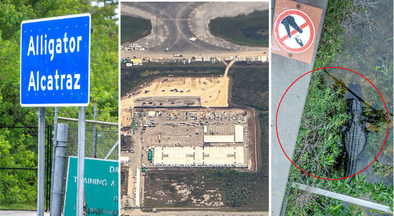 Italiani detenuti ad Alligator Alcatraz, chi è Fernando Eduardo Artese e il caso di Gaetano Cateno Mirabella Costa: cosa sappiamo Italiani detenuti ad Alligator Alcatraz, chi è Fernando Eduardo Artese e il caso di Gaetano Cateno Mirabella Costa: cosa sappiamo