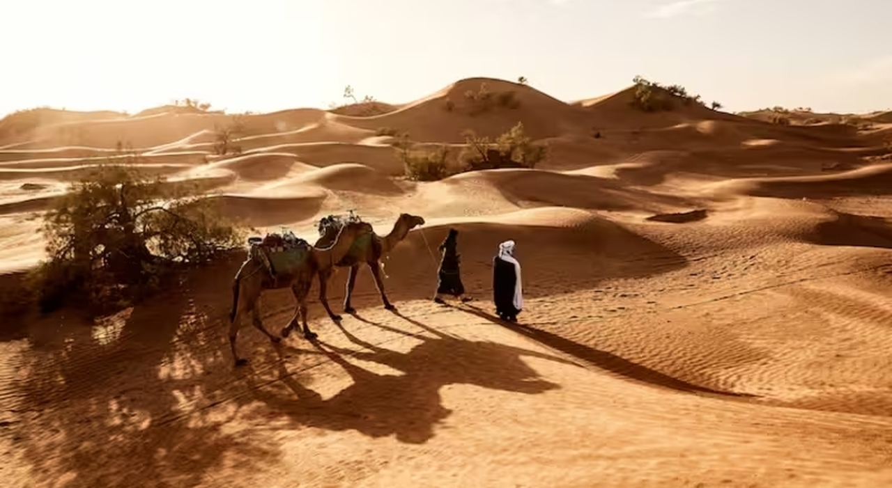 https://statics.cedscdn.it/photos/MED_HIGH/2025/07/20/8967654_20153614_genitori_figlio_sahara_posseduto_resuscitare_come_gesu_condanna_francesi_oggi_20_7_2025.jpg