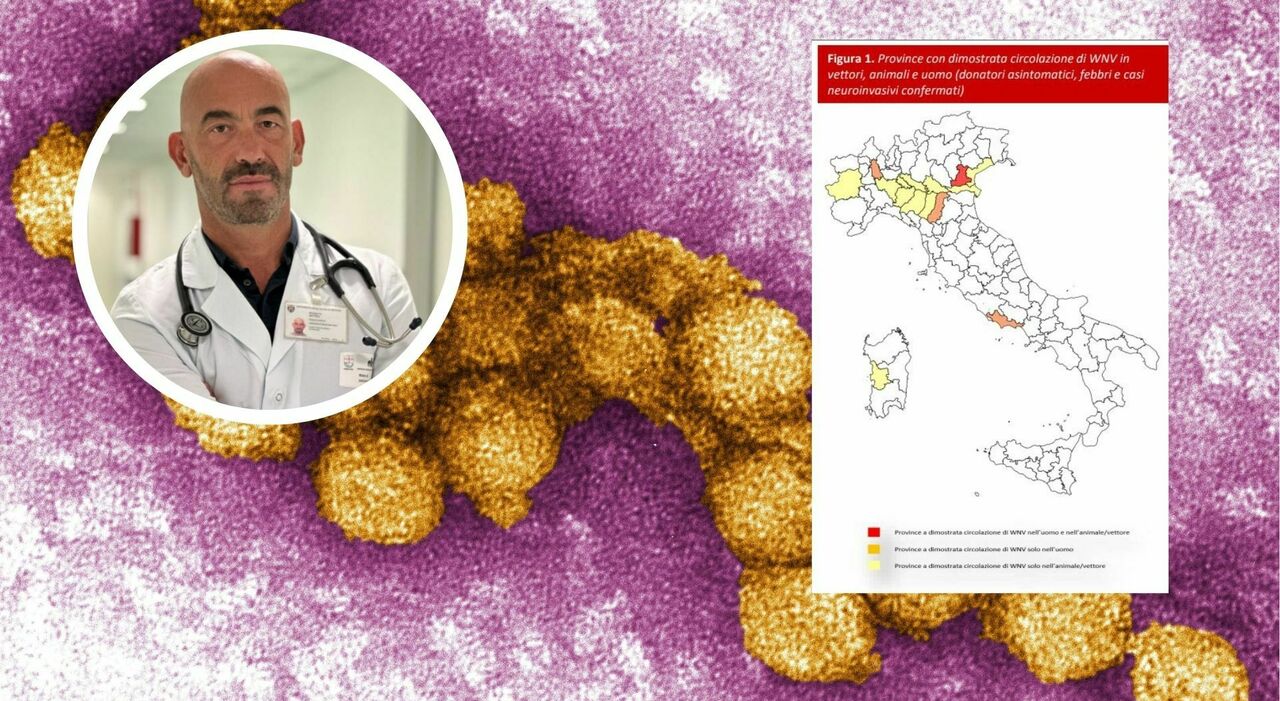 West Nile, casi in aumento in Italia: la mappa dei contagi. Bassetti: «Non esiste una cura, ecco chi è a rischio» West Nile, casi in aumento in Italia: la mappa dei contagi. Bassetti: «Non esiste una cura, ecco chi è a rischio»