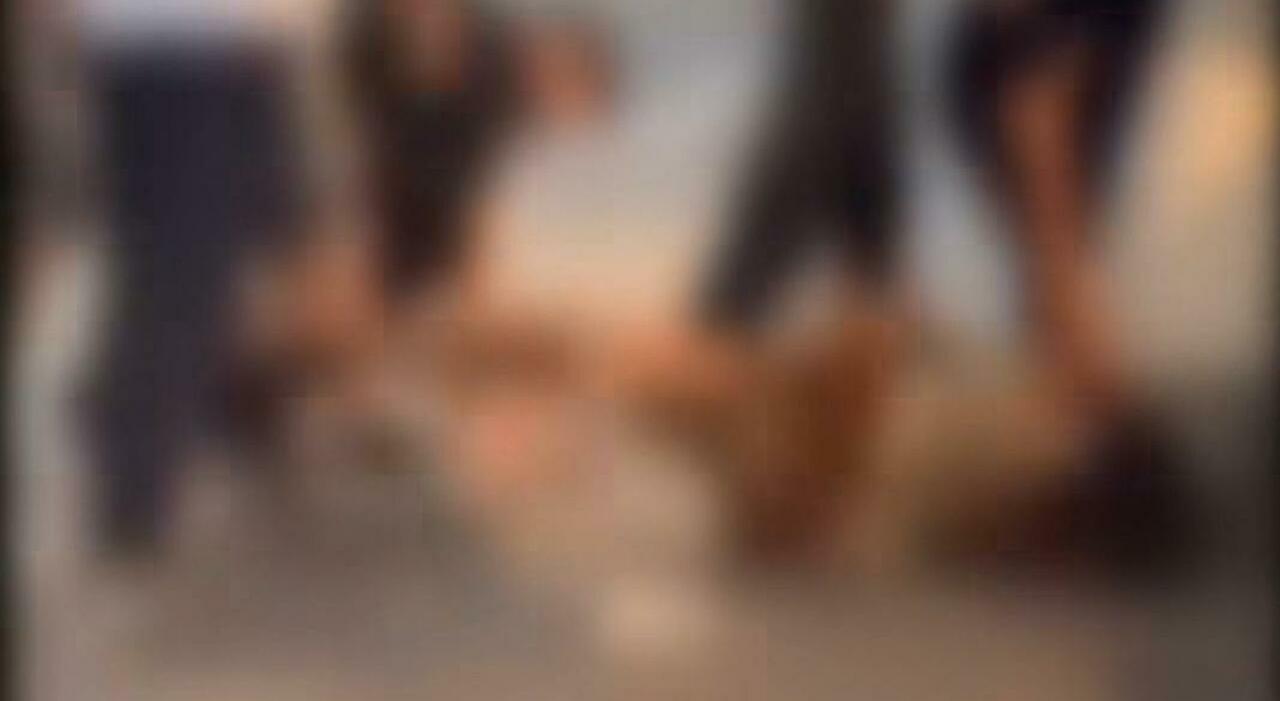 Ragazza aggredita a Capri: identificato un 33enne, ubriaco dava fastidio ai turisti Ragazza aggredita a Capri: identificato un 33enne, ubriaco dava fastidio ai turisti