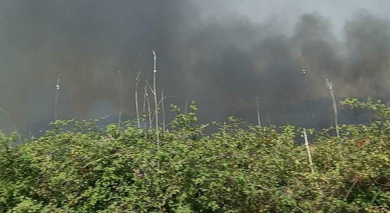 Gli incendi aumentano ma in Puglia i vigili del fuoco calano: mancano 340 pompieri Gli incendi aumentano ma in Puglia i vigili del fuoco calano: mancano 340 pompieri