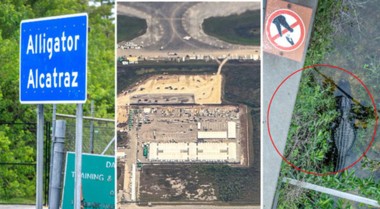 Alcatraz Alligator, la madre di Gaetano Mirabella Costa: «Mi dice che non vede il sole da 10 giorni». Il centro degli orrori: cosa sappiamo Alcatraz Alligator, la madre di Gaetano Mirabella Costa: «Mi dice che non vede il sole da 10 giorni». Il centro degli orrori: cosa sappiamo