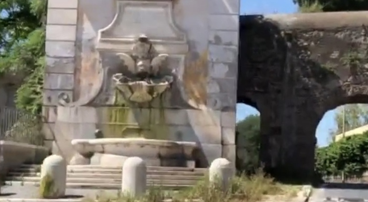 presto c 232 un cadavere qui trovato il corpo di una donna tra le sterpaglie mistero a roma