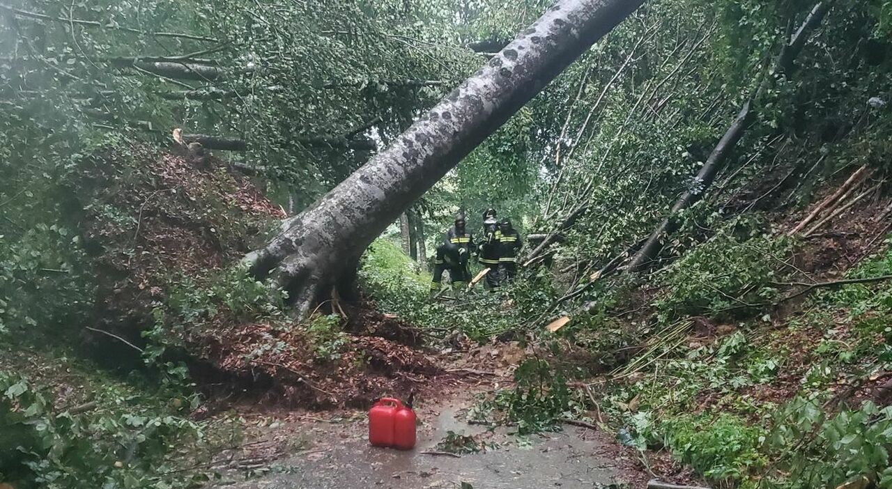 tempesta si abbatte sulle grotte di pradis attimi di paura per i turisti all interno alberi caduti sulla strada