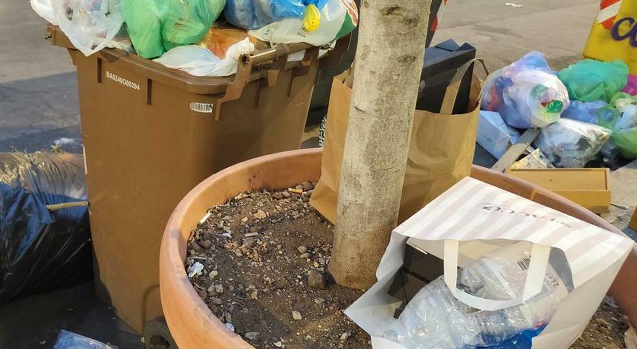 A Bari spiagge sporche, blatte e topi. La denuncia dei turisti: «C A Bari spiagge sporche, blatte e topi. La denuncia dei turisti: «C