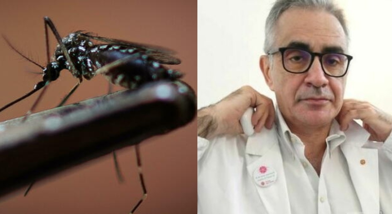 West Nile, come riconoscere la zanzara che porta l West Nile, come riconoscere la zanzara che porta l