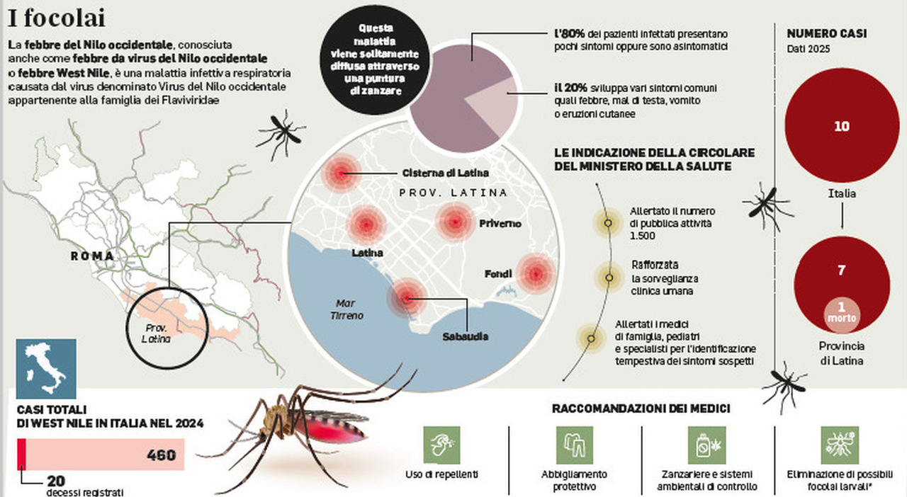 West Nile, il bollettino dei contagi in Italia: uno su 5 10 è sintomatico, allarme per quelli "nascosti" West Nile, il bollettino dei contagi in Italia: uno su 5 10 è sintomatico, allarme per quelli "nascosti"